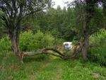 Weg